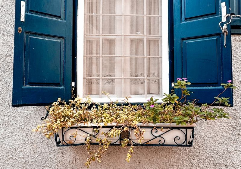Garden window with a flower box on a Phoenix home